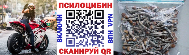 как найти наркотики  Устюжна  Псилоцибиновые грибы мухоморы 